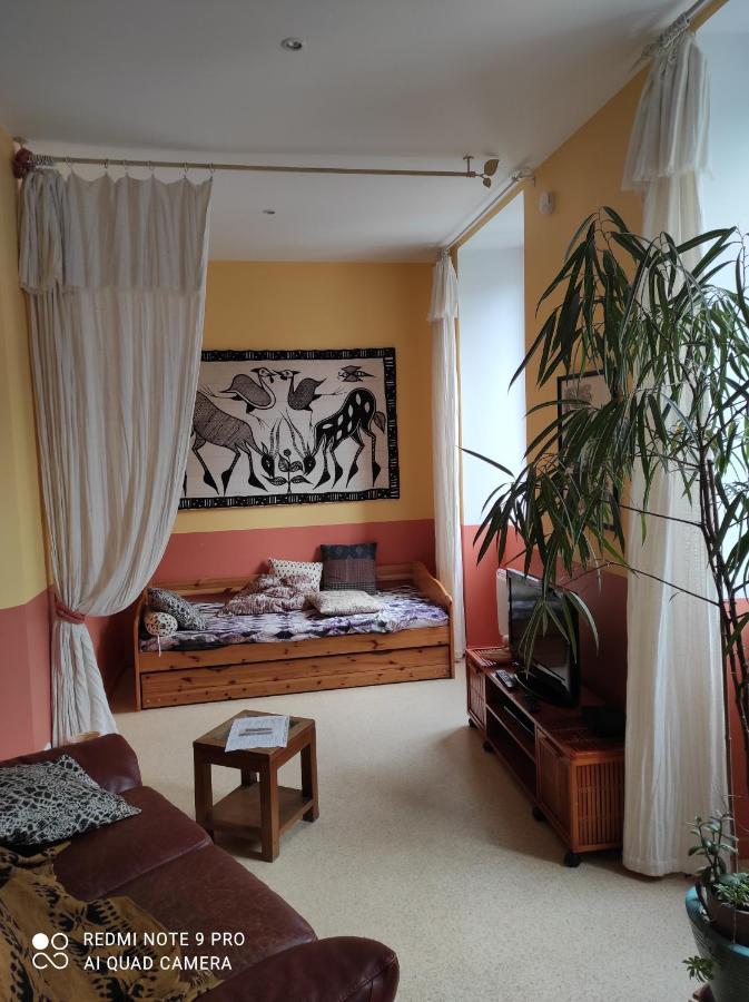 Afrique Appartement De 42M2 A La Montagne Eaux-Bonnes Buitenkant foto